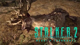 #7 夜叉まるの[ S.T.A.L.K.E.R. 2 :Heart of Chornobyl ]