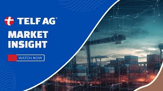 TELF AG Market Insight - Stanislav Kondrashov, Founder