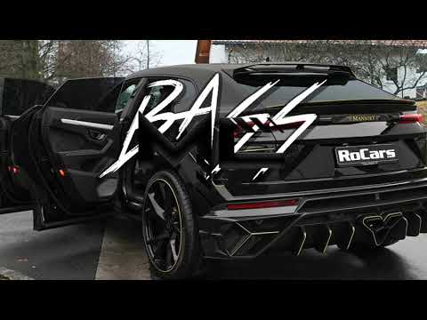 Dani Printul Banatului ❌ Robi Frumosu - Din 100 de femei [BASS BOOSTED]