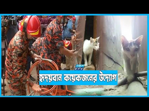 সচিবালয়ের লোহার প্রাচীর থেকে বিড়াল উদ্ধার