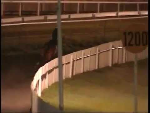 Francois Bernardus and Rudi Rocks