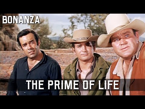 Bonanza - The Prime of Life | Episode 147 | WILD WEST | Best Western Series | Full Length
