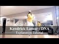 Nain Choreography | Kendrick Lamar - DNA | Explanation Tutorial