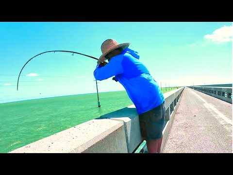 🎣 This Florida Keys Fishing Pier Is LOADED! (Long Key Bridge)
