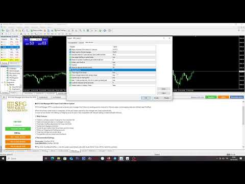 Video SFG Grid Manager and Mirror for MT4