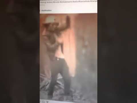 Poetica di Cesare Cremonini, Cover di Claudio Franchi.