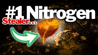 Leaf Mulch Myths DESTROYED — What Science Says About Soil Health