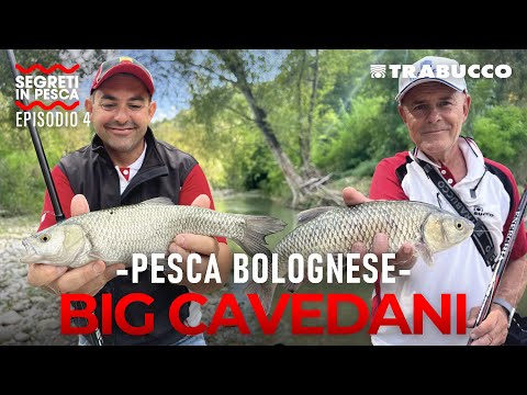 Bolognese Fishing in Romagna: HOW TO CATCH Big Barbel | FISHING SECRETS S1E4