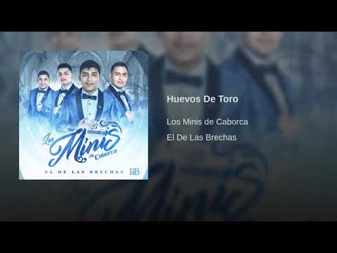 Los Minis de Caborca   Huevos De Toro