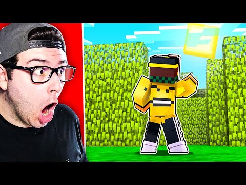 Entro nel LABIRINTO SEGRETO della BIG REGINA - Big vanilla - Minecraft ITA