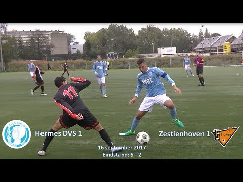 Samenvatting Hermes DVS 1 -  Zestienhoven 1