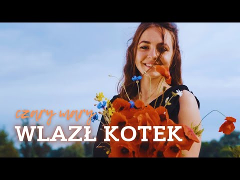Wlazł kotek - Walczyk - Biesiada / Czary Mary