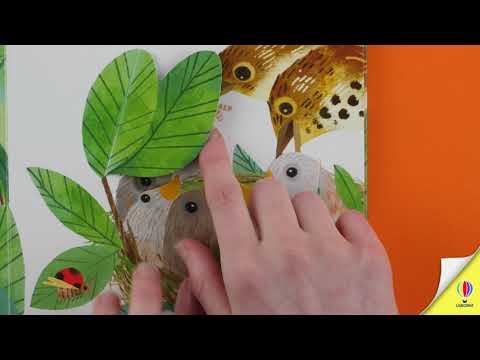 Книга Peep inside a Bird's Nest video 1