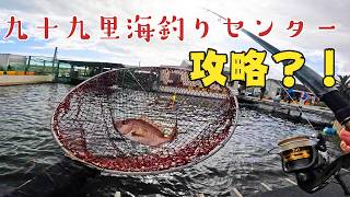 初心者でも釣れる？！九十九里海釣りセンターで鯛を釣りまくる！！！【海釣り】【管理釣り場】【九十九里海釣りセンター】#九十九里海釣りセンター #海釣り #釣り