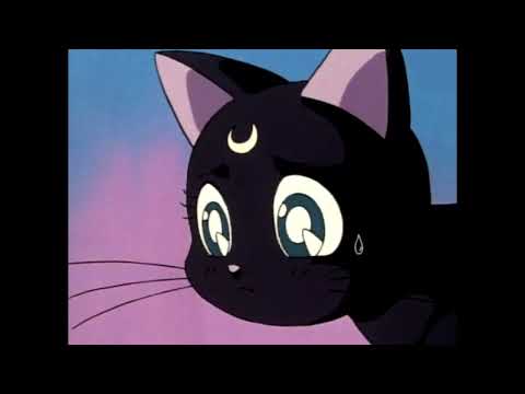 La Fève x Josman x Unfamouslouie type beat "chat" (prod. 6dollars.)