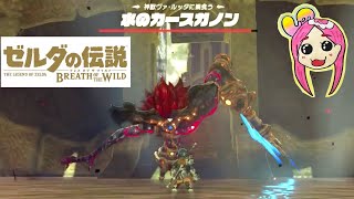 【ゼルダの伝説】こんなの聞いてない！泣 予想外の強ボス出現！？神獣ヴァ・ルッタ攻略