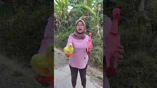 Download lagu chicken and duck laughing sounds #shorts #funny mp3
