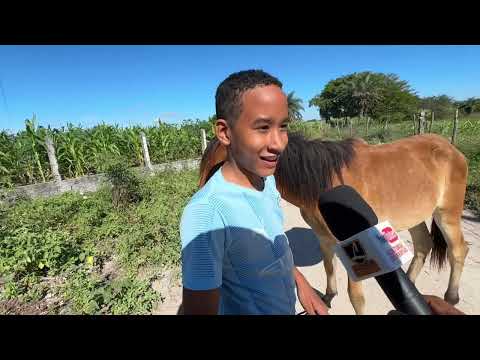 Feira de Cavalo do Bola Monteirópolis - AL 12 - 07 - 2026 #nordeste