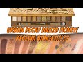 REVIEW JUJUR URBAN DECAY NAKED HONEY LIDIA FANG