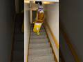 You Can T Fall Down The Stairs Spongebob Short