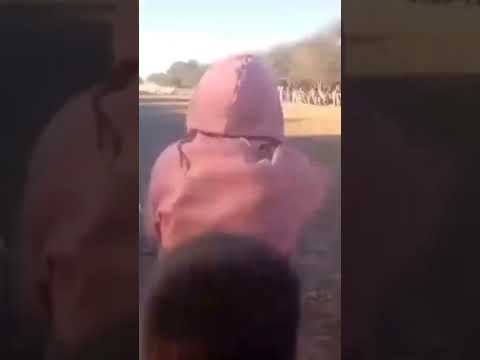 🔴🟡🟢SANTIAGO DEL ESTERO✅️MUJER MUERE LUEGO DE SER EMBESTIDA POR UN CABALLO
