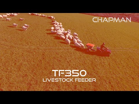 Chapman Sheep/ Cattle Snacker - Image 2