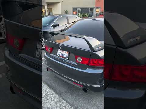 Mugen Duckbill vs Mugen Spoiler. Which one do you prefer? #shorts
