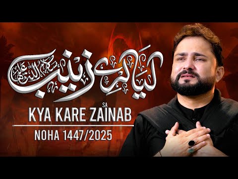 Kya Kare Zainab | Syed Raza Abbas Zaidi | Nohay 2025 | Muharram 1447 | Bibi Zainab Noha | New Noha