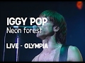 Iggy Pop - Neon Forest (Olympia)