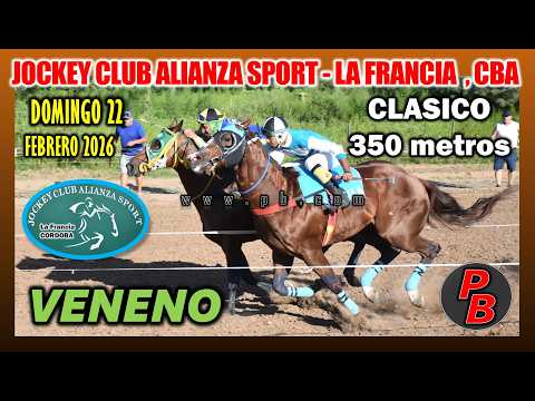 VENENO: CLASICO en JOCKEY CLUB ALIANZA SPORT LA FRANCIA - CORDOBA (22-02-2026)