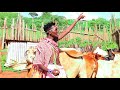 Pilaz Pilonje SINATI Official Music Video Dial 837 1347