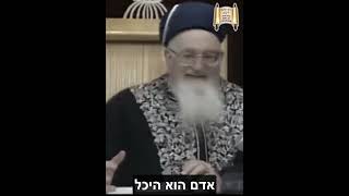 זוכים לאורו של משיח - מרן הרב מרדכי אליהו זצוק"ל #אהבתישראל #חנוכה #dance (הרב מרדכי אליהו זצ"ל) - התמונה מוצגת ישירות מתוך אתר האינטרנט יוטיוב. זכויות היוצרים בתמונה שייכות ליוצרה. קישור קרדיט למקור התוכן נמצא בתוך דף הסרטון זוכים לאורו של משיח - מרן הרב מרדכי אליהו זצוק"ל #אהבתישראל #חנוכה #dance (הרב מרדכי אליהו זצ"ל) - התמונה מוצגת ישירות מתוך אתר האינטרנט יוטיוב. זכויות היוצרים בתמונה שייכות ליוצרה. קישור קרדיט למקור התוכן נמצא בתוך דף הסרטון