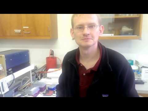 أكثــــــــار نبات الورد بالزراعة النسيجية