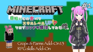 【Minecraft】目指せ！ソロでエンドラ討伐！