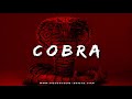 Aggressive Fast Flow Trap Rap Beat Instrumental ''COBRA'' Hard Angry Arab Type Drill Dark Trap Beat
