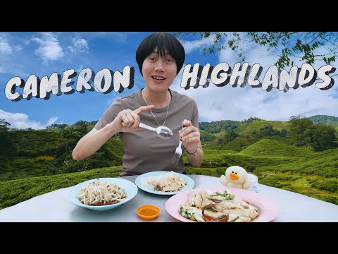 SWEET ESCAPE: CAMERON HIGHLANDS