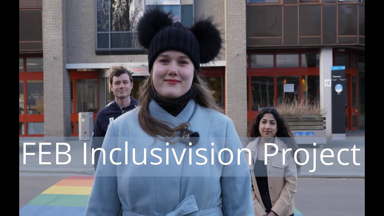 FEB inclusivision project