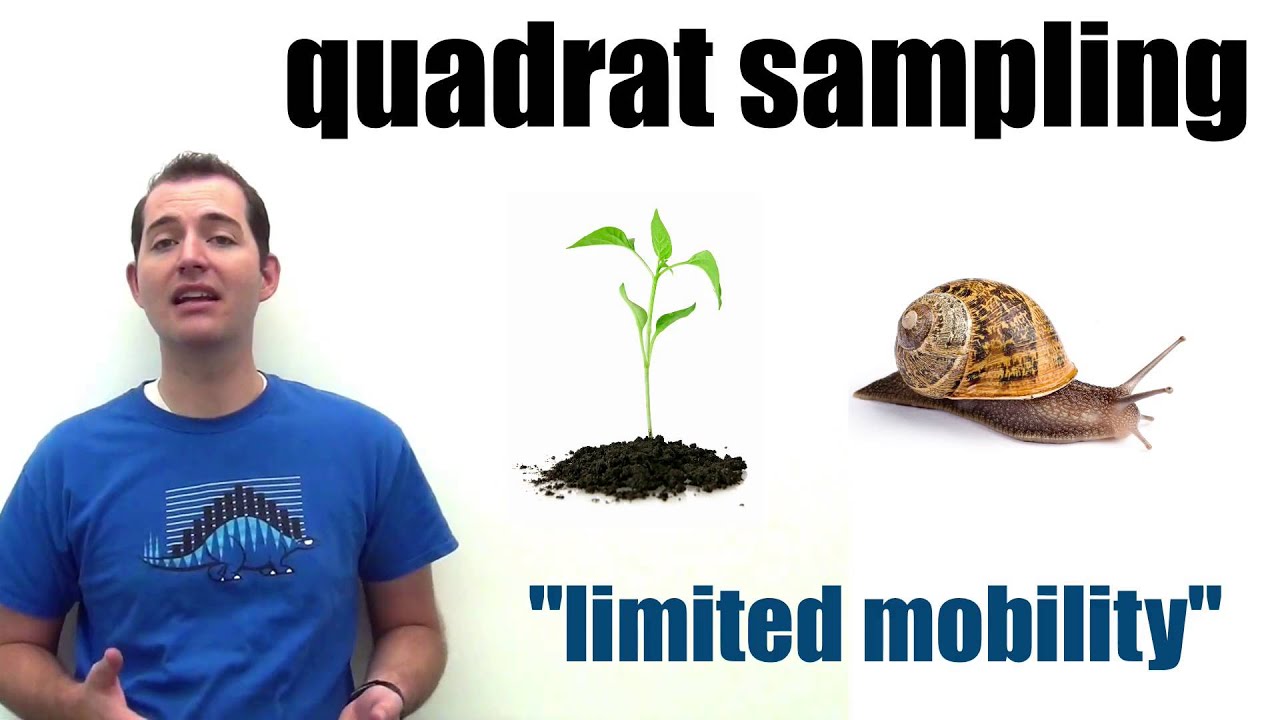 Population Estimation Methods