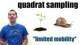 Population Estimation Methods