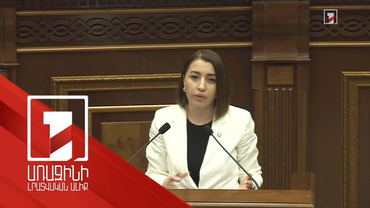 Ոստիկանությունն իր գործունեությունն իրականացնելիս պետք է զերծ լինի քաղաքական միջամտությունից. ՀՀ ՄԻՊ