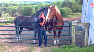 Jonathan Edwards entertains Horse Power in Nova Scotia