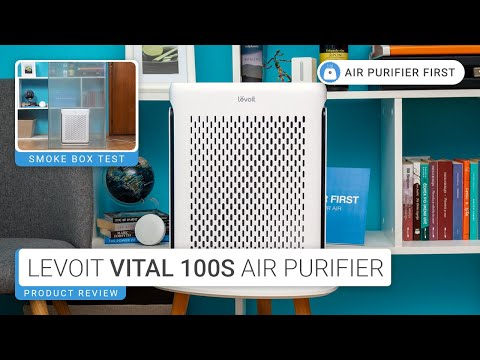 Levoit Vital 100S Review: Compact & Mighty Air Purifier