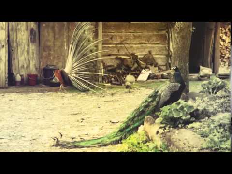 Weekend in western Bieszczady Mountains (Poland)