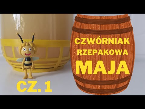 Miód pitny niesycony  Czwórniak rzepakowa Maja. Cz.1