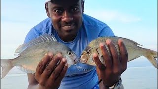 Bottom Fishing | Long Island,  NY #fishingaddict #fishing #Porgy # northsore