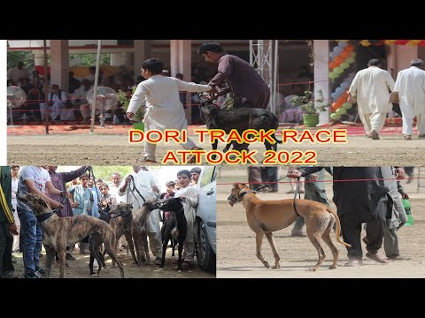 Greyhound Dori Track Race 2022 | Jashan a Baharan Attock 2022 | Anual Festival Attock | Attock Meela