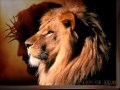 The Lamb Is A Lion   MICHAEL CARD