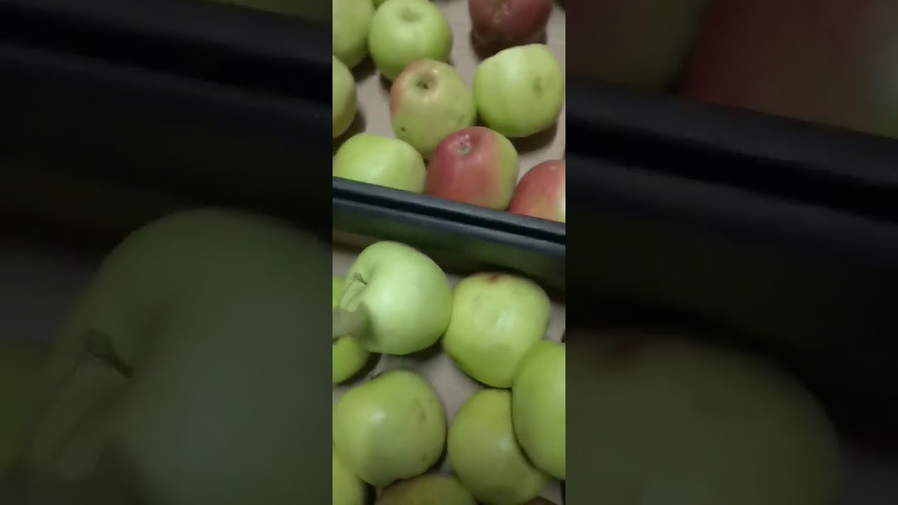 Яблоки Лигол