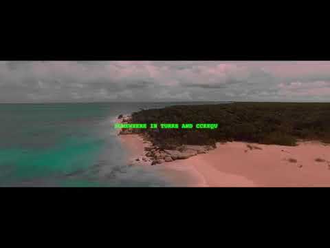 Nav & gunna & travis scott