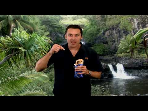 Souvlaki Hut Gorilla